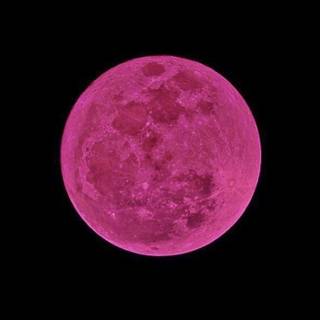 pink moon