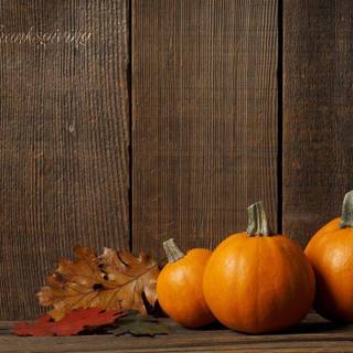 Thanks Giving Pumpkin