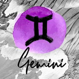 gemini vibs