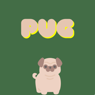 Pug
