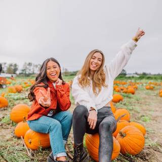 Witch way to the pumpkin patch?