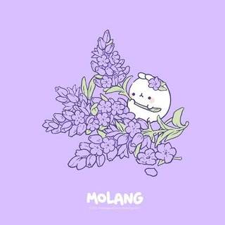 Molang with lavender kawaii cute