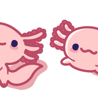 Axolotl twins