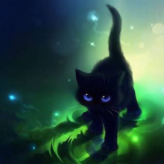 Cute Black Kitty