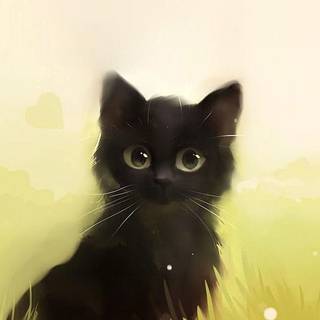 Cute Black Kitty