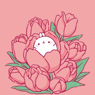 Pink Rose Molang Phone Wallpaper