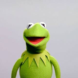 drippy kermit