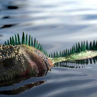 Iguana by Eric Keller