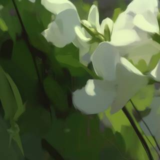 Blooming Wishes Artwork