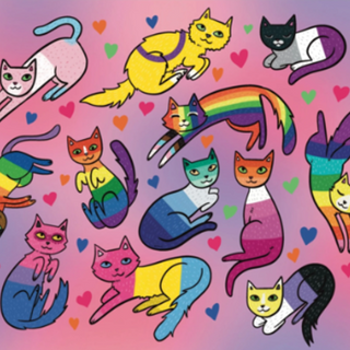 pride cats