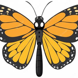 A Monarch Butterfly add a sticker if you like this wallpaper  
