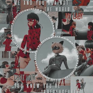 cat noir and hs lady