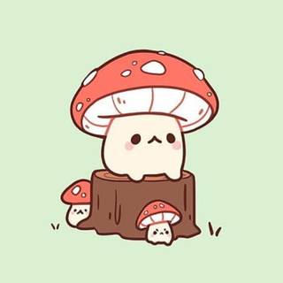 mushroom  
