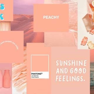 Aesthetic Peach collage (Credit to Acacia/shawtysoaesthetic)