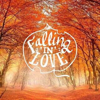 falling in love