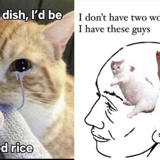 #just a guy with some cool photos