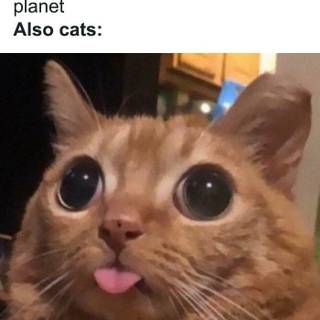 #just a guy with some cool photos