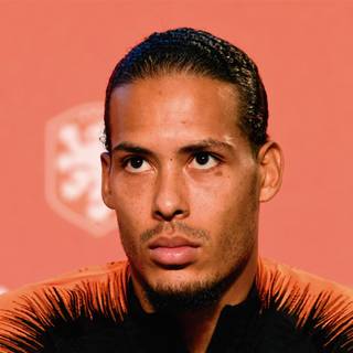 Virgil van dijk