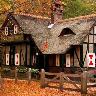 Cottage 