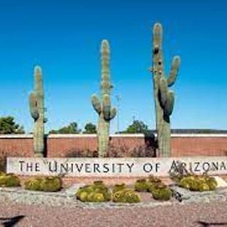 Go U of A!