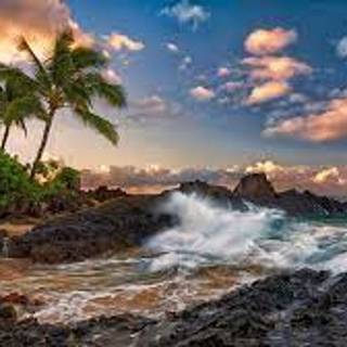 Pretty Place of Hawaii