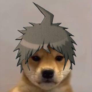 ‧₊˚✧DO NOT REPOST✧˚₊‧