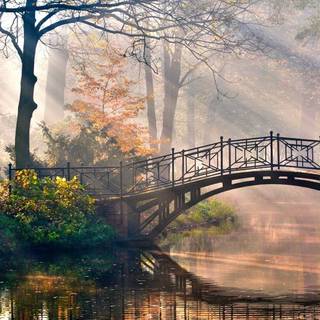 Fairy Bridge