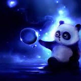 Cute Panda