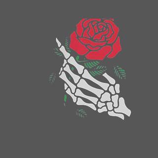 Skeleton Hand | Red Rose
