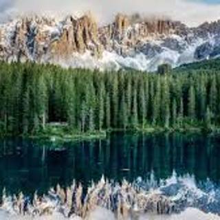 Mountain with Pretty Trees!