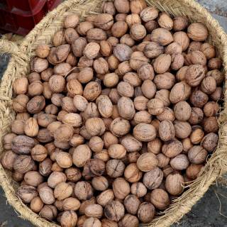 Walnuts