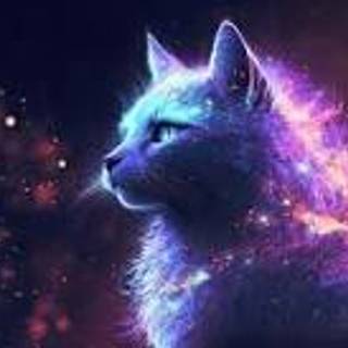 Galaxy Cat