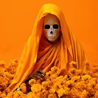 Fiesta Fantastica in the City