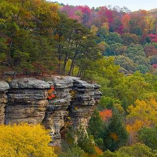 Autumn Trees and Cliff