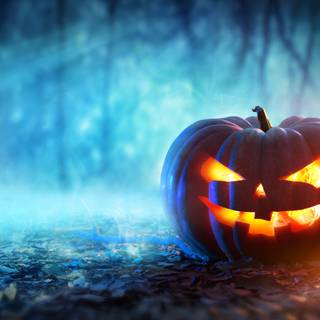 Halloween, spooky, pumpkin, 4k, wallepaper