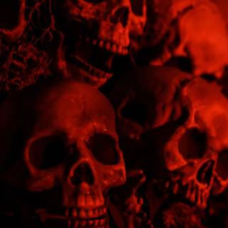 Red Skulls | Phone