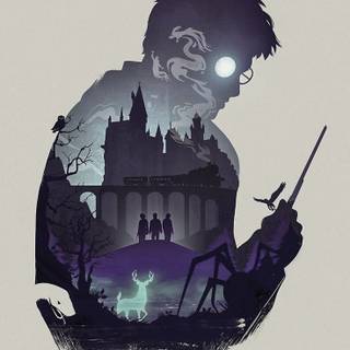 harry potter is cool