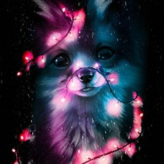 this me when i am in da christmas 