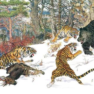 Siberian tiger vs brown bear
