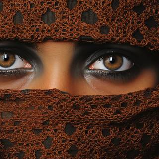 Embroidered Lady of the Night