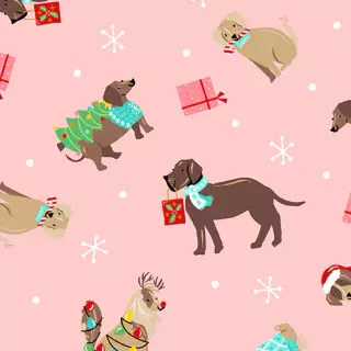 Dog and Christmas background!