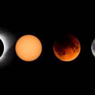 That was what Sarah just did on it!