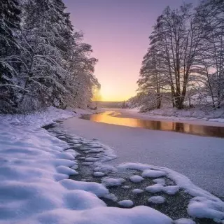 Aesthetic Winter Landscape