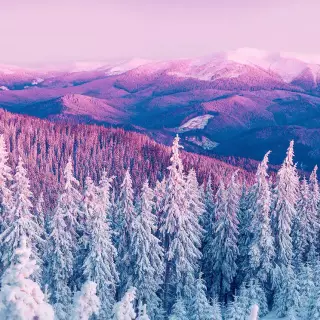 Aesthetic Winter Landscape