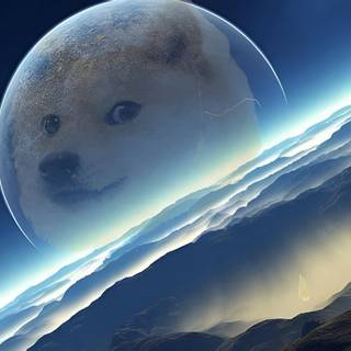 Planet Doge