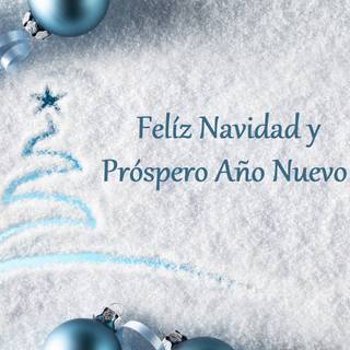 Feliz Navidad y Próspero Año Nuevo
