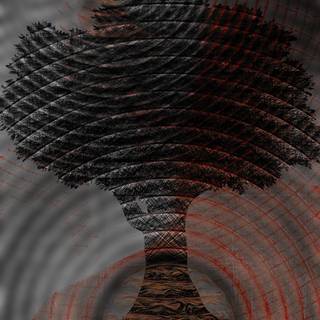 iphone X Wallpaper Roots