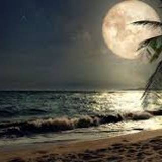 Night of Beach with Moon