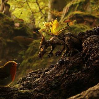 Draco with Bird in Forest
