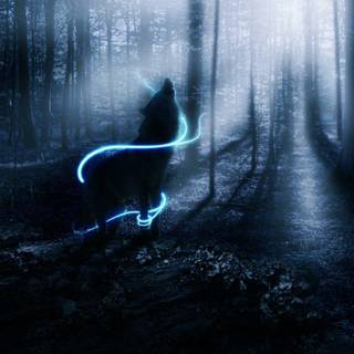 Energie de lune liée